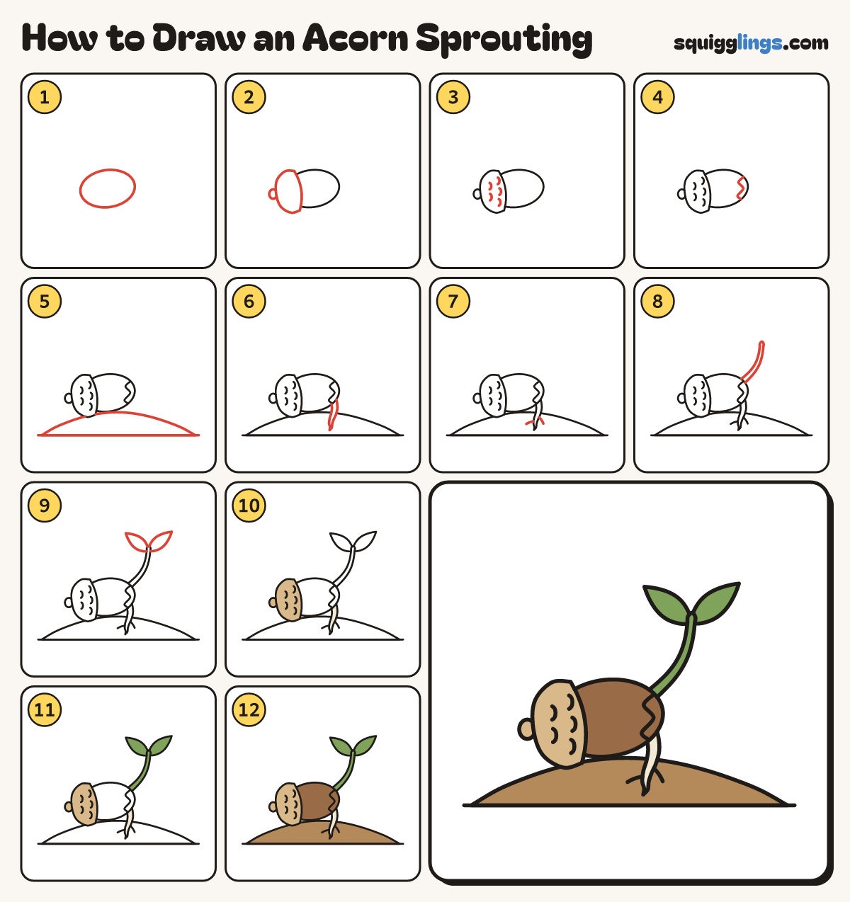 How to Draw an Acorn Sprouting step by step: all 12 steps in one picture