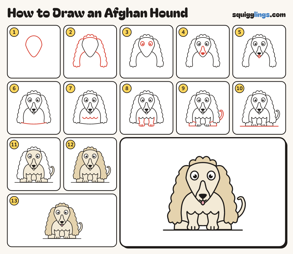 How to Draw an Afghan Hound step by step: all 13 steps in one picture