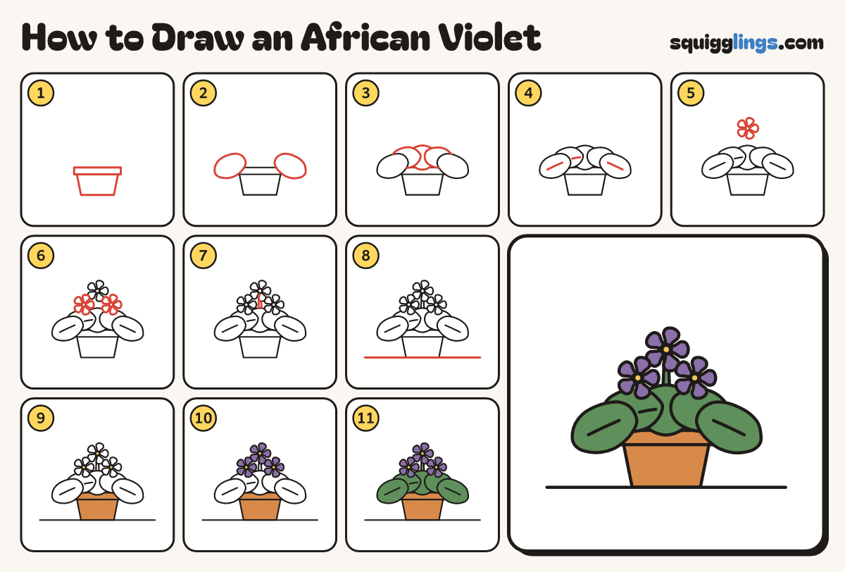How to Draw an African Violet step by step: all 11 steps in one picture