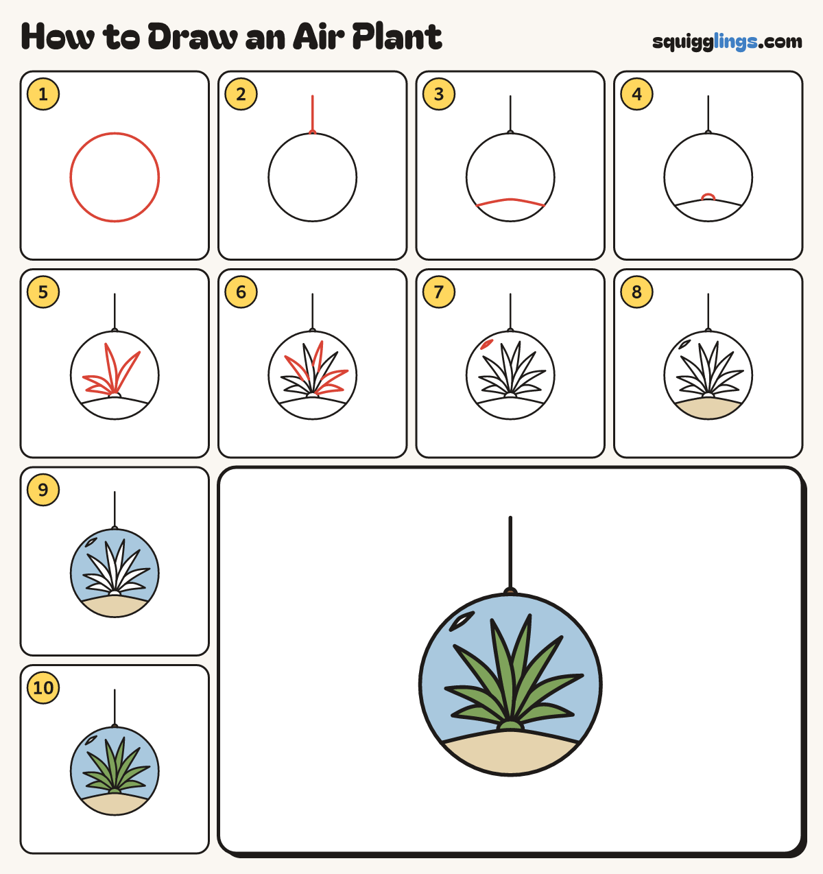 How to Draw an Air Plant step by step: all 10 steps in one picture