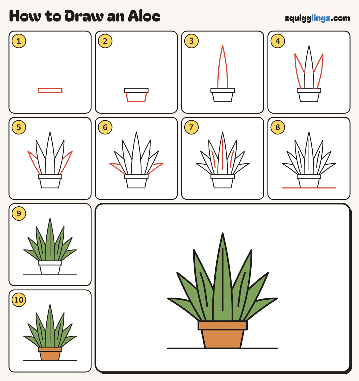 How to Draw an Aloe step by step: all 10 steps in one picture