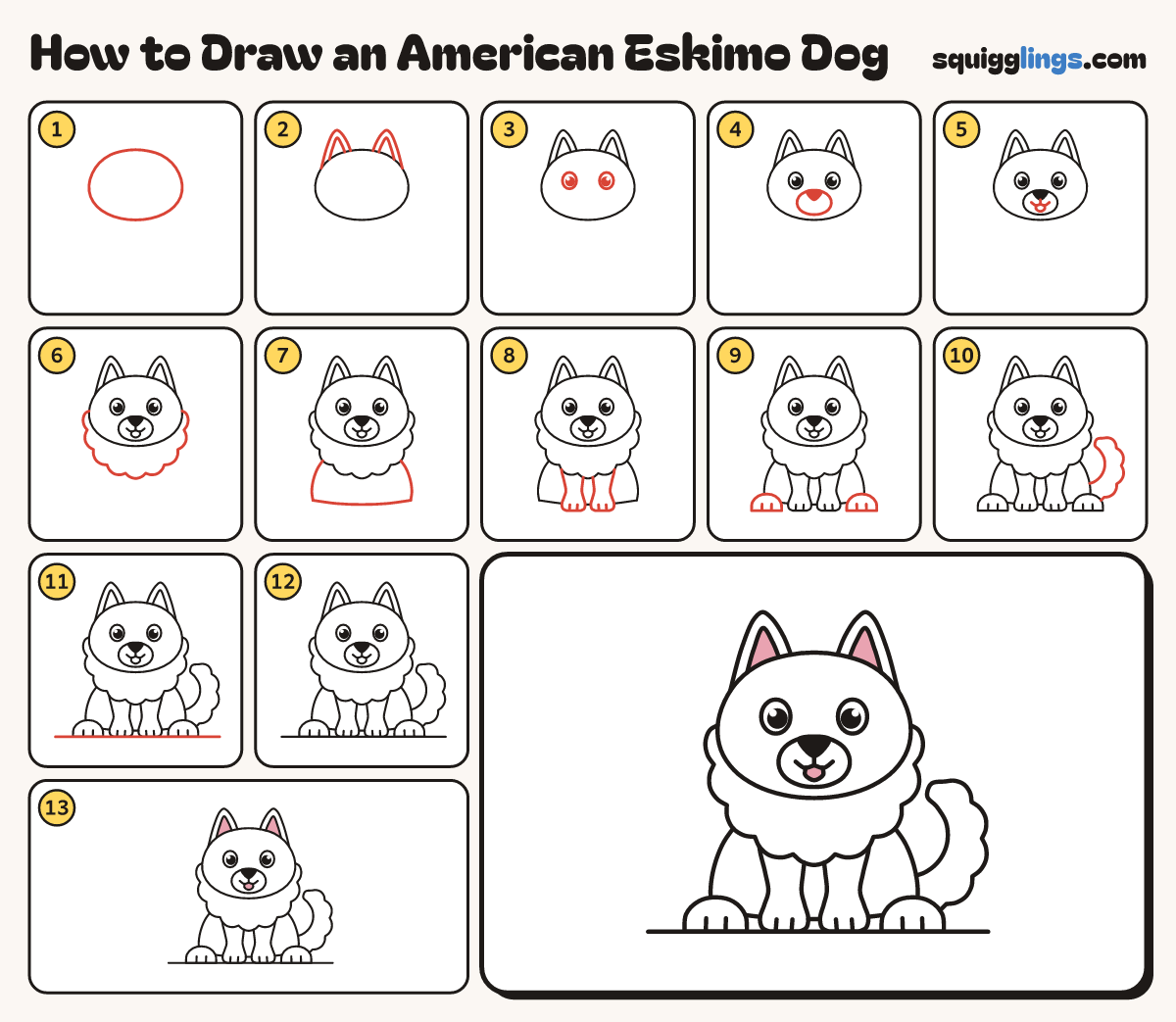How to Draw an American Eskimo Dog step by step: all 13 steps in one picture