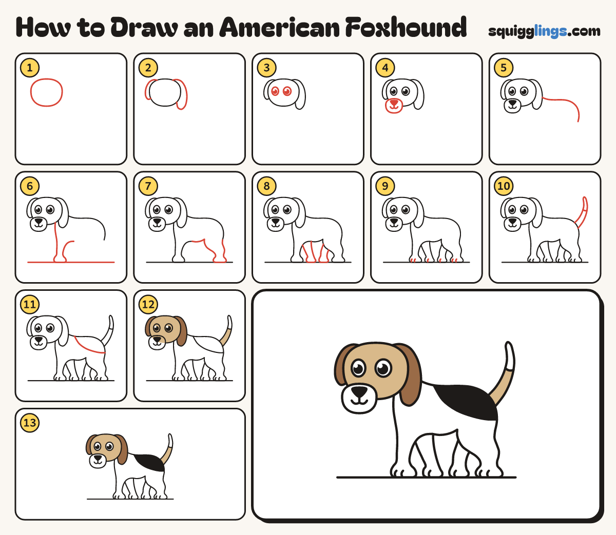 How to Draw an American Foxhound step by step: all 13 steps in one picture