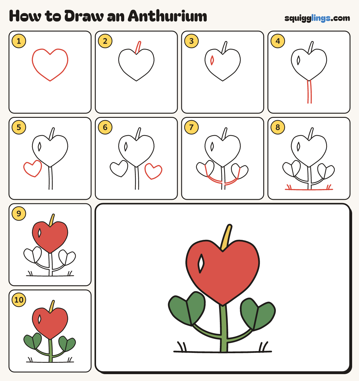 How to Draw an Anthurium step by step: all 10 steps in one picture