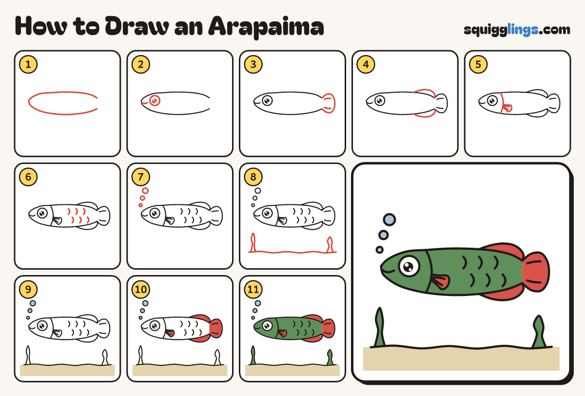 How to Draw an Arapaima step by step: all 11 steps in one picture