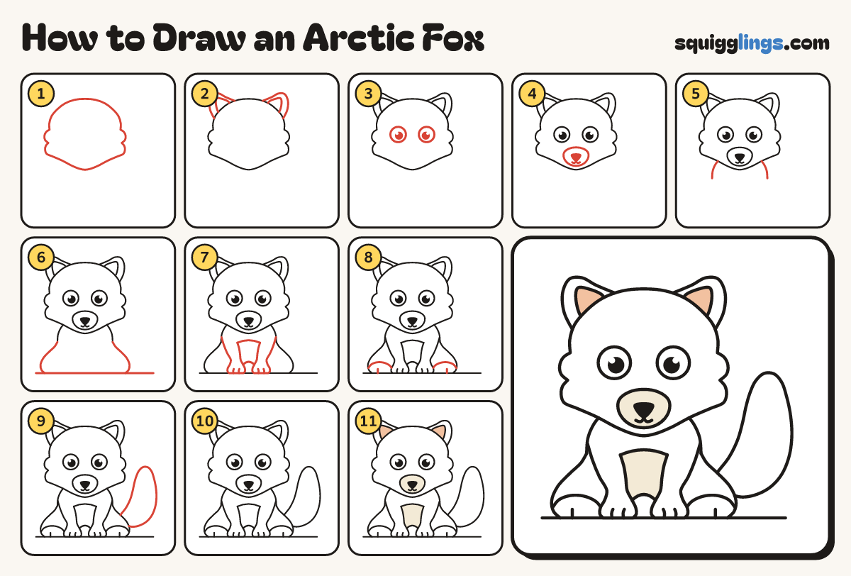 How to Draw an Arctic Fox step by step: all 11 steps in one picture