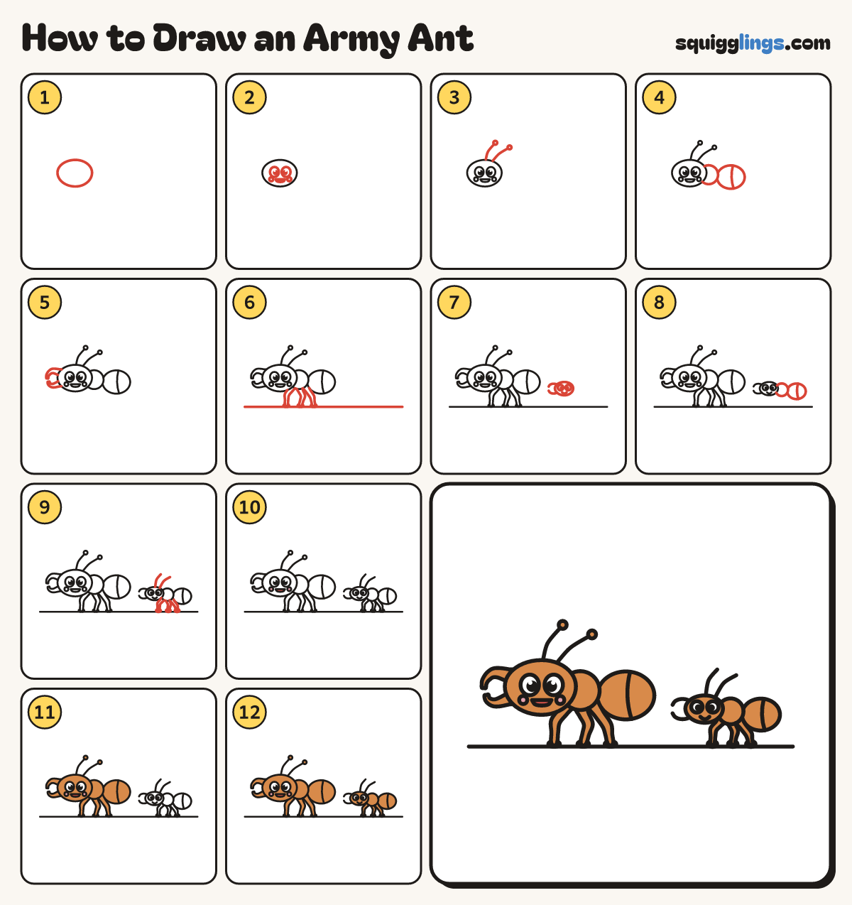 How to Draw an Army Ant step by step: all 12 steps in one picture