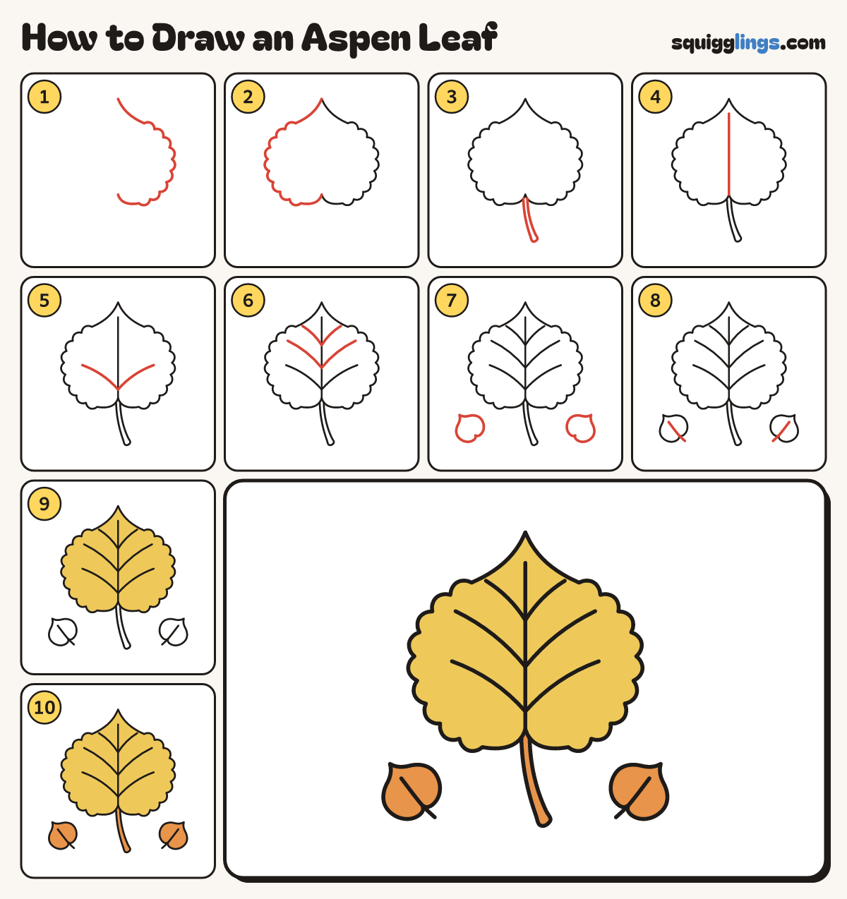 How to Draw an Aspen Leaf step by step: all 10 steps in one picture