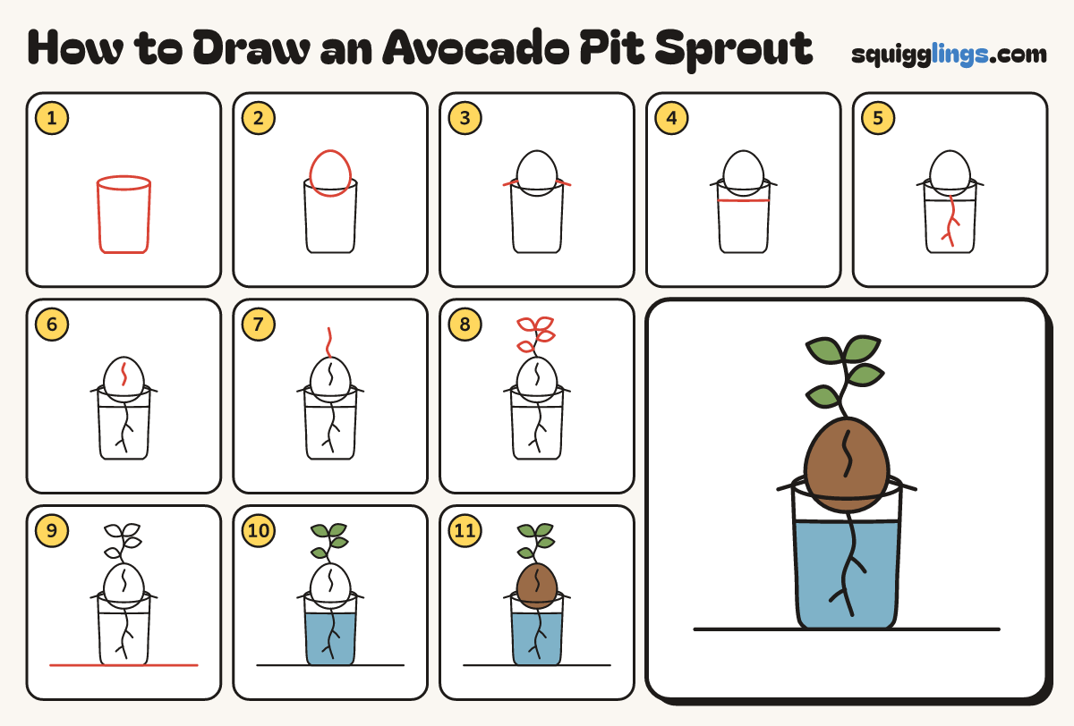 How to Draw an Avocado Pit Sprout step by step: all 11 steps in one picture