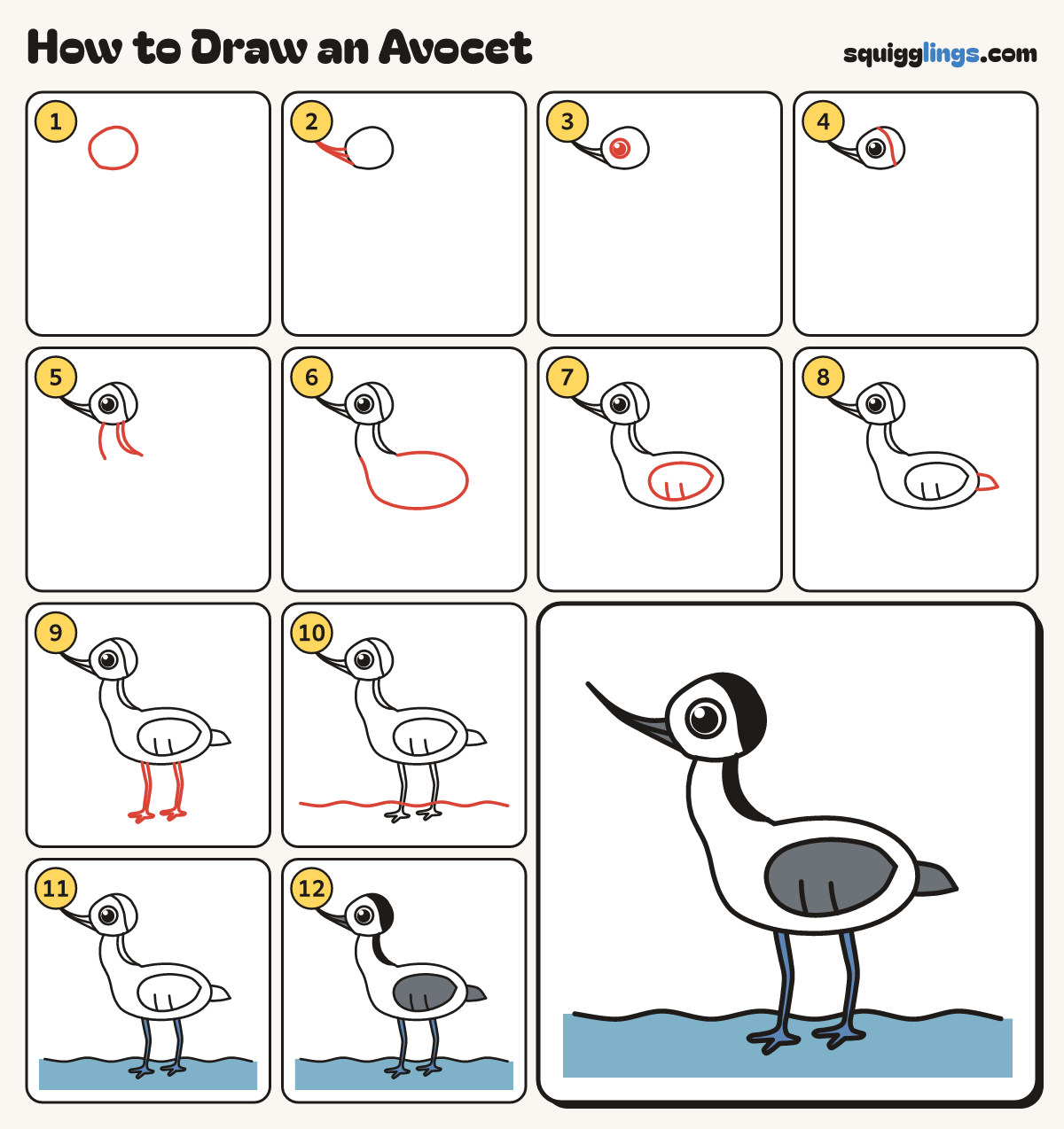 How to Draw an Avocet step by step: all 12 steps in one picture