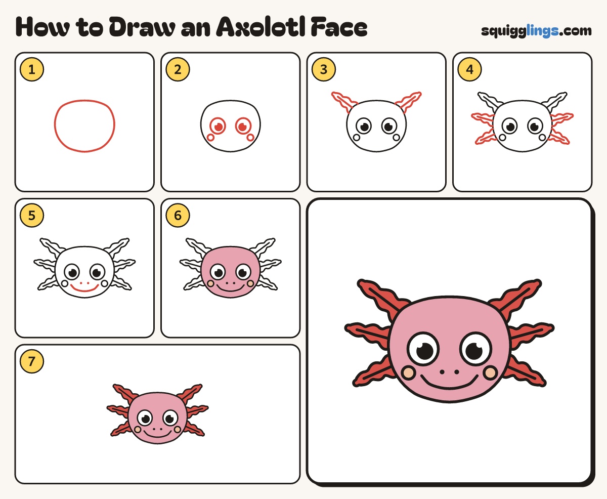 How to Draw an Axolotl Face step by step: all 7 steps in one picture