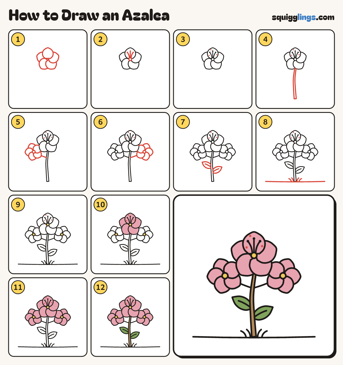 How to Draw an Azalea step by step: all 12 steps in one picture
