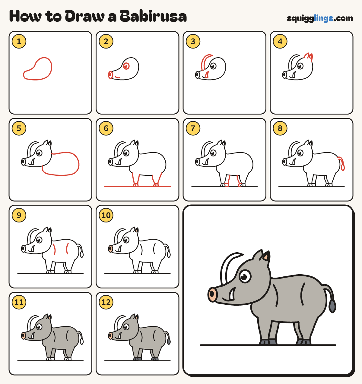 How to Draw a Babirusa step by step: all 12 steps in one picture