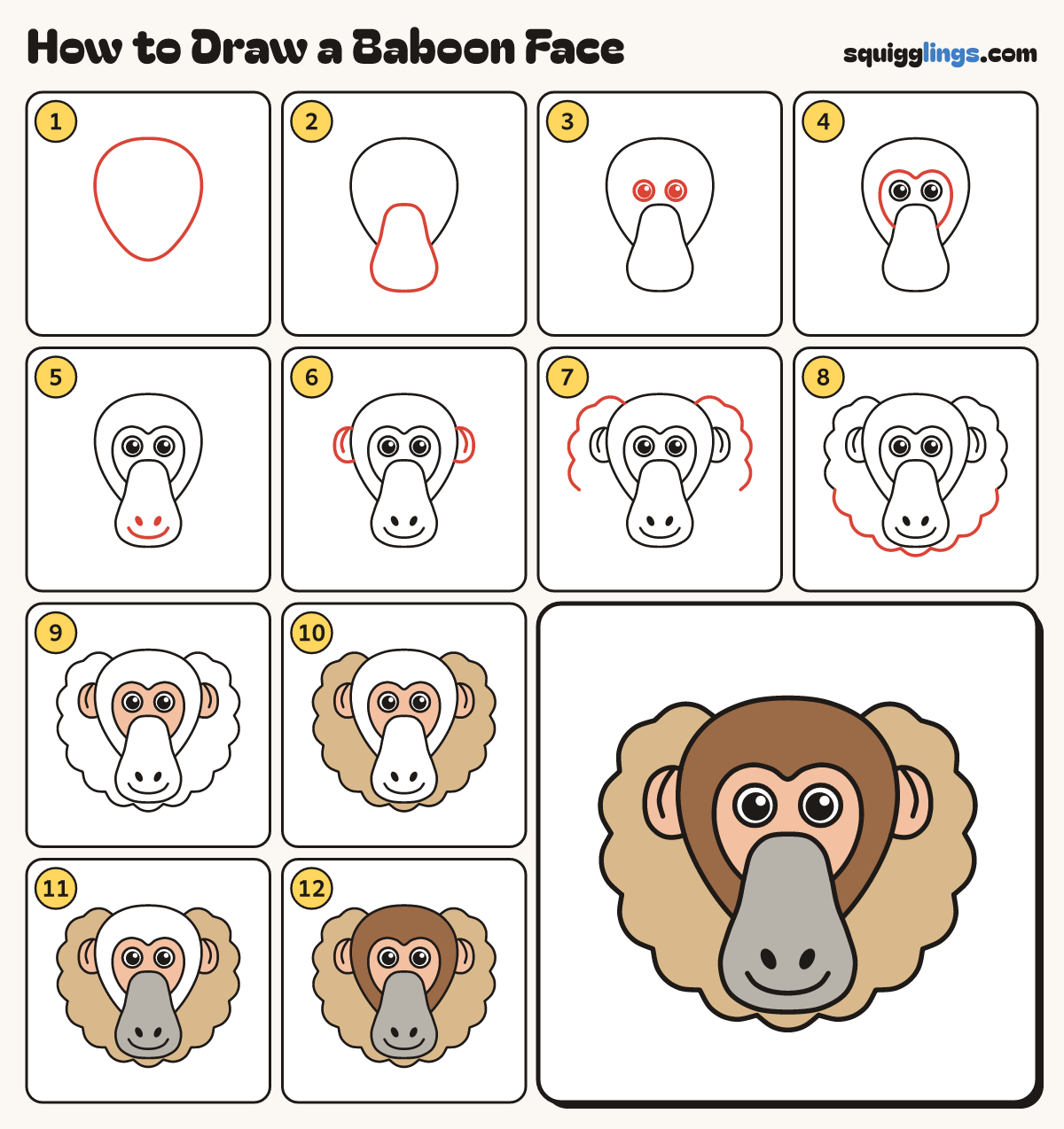 How to Draw a Baboon Face step by step: all 12 steps in one picture