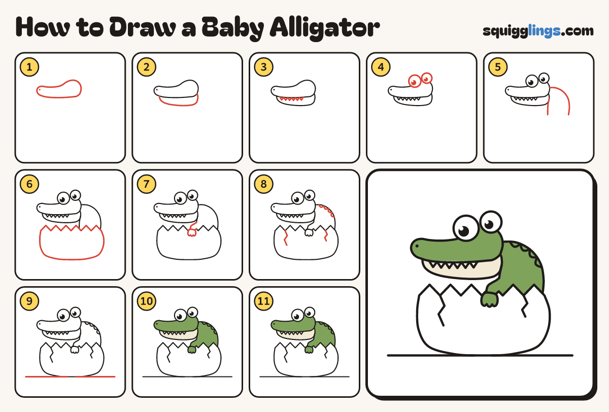 How to Draw a Baby Alligator step by step: all 11 steps in one picture