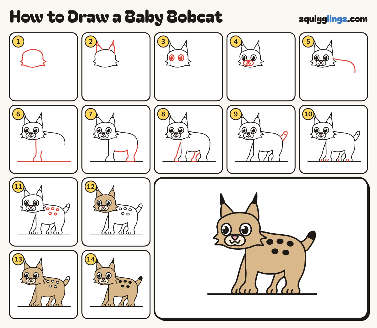 How to Draw a Baby Bobcat step by step: all 14 steps in one picture