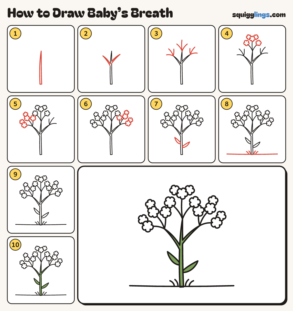 How to Draw Baby’s Breath step by step: all 10 steps in one picture