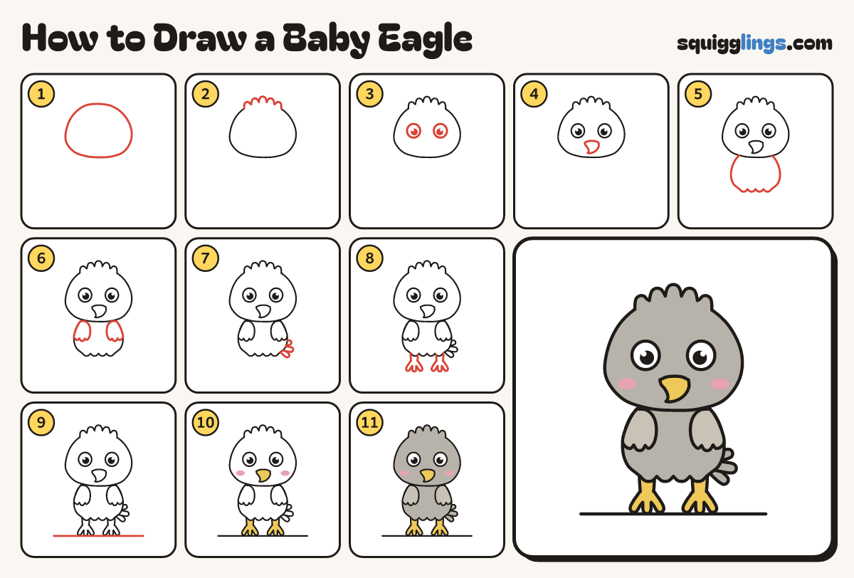How to Draw a Baby Eagle step by step: all 11 steps in one picture