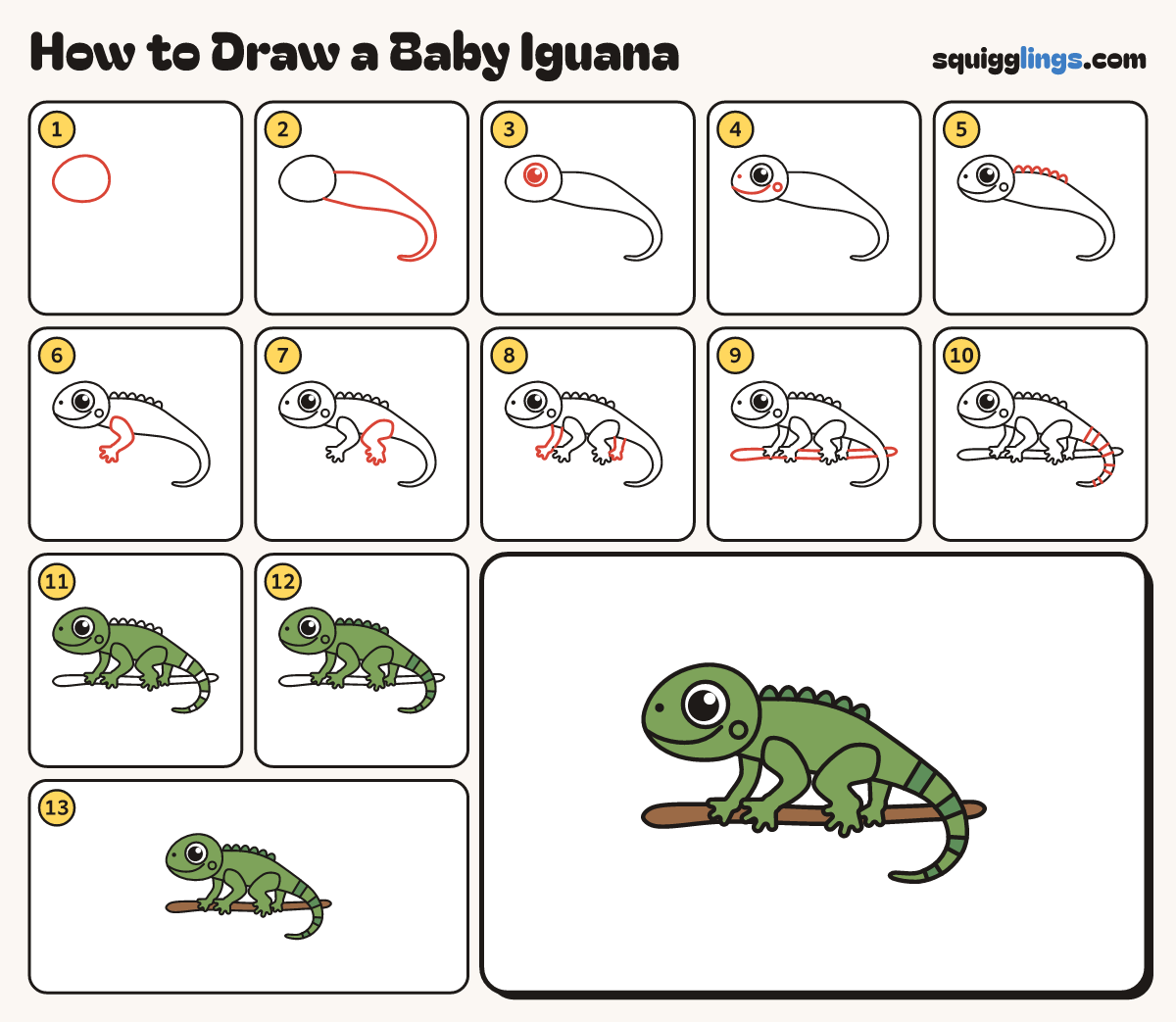 How to Draw a Baby Iguana step by step: all 13 steps in one picture