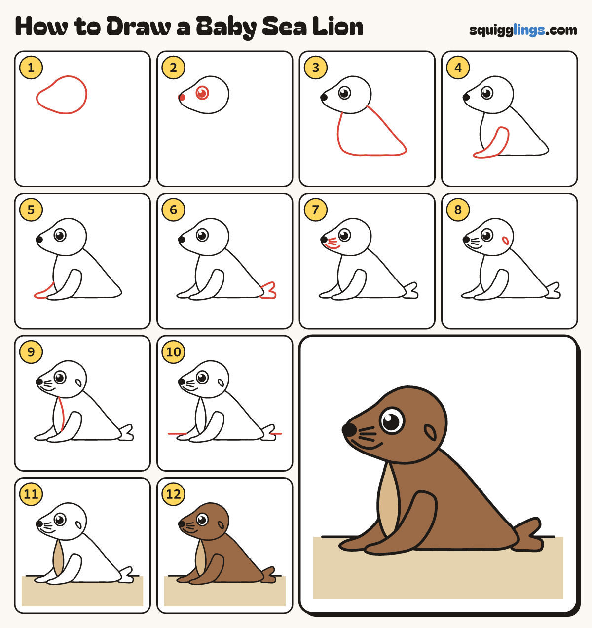 How to Draw a Baby Sea Lion step by step: all 12 steps in one picture