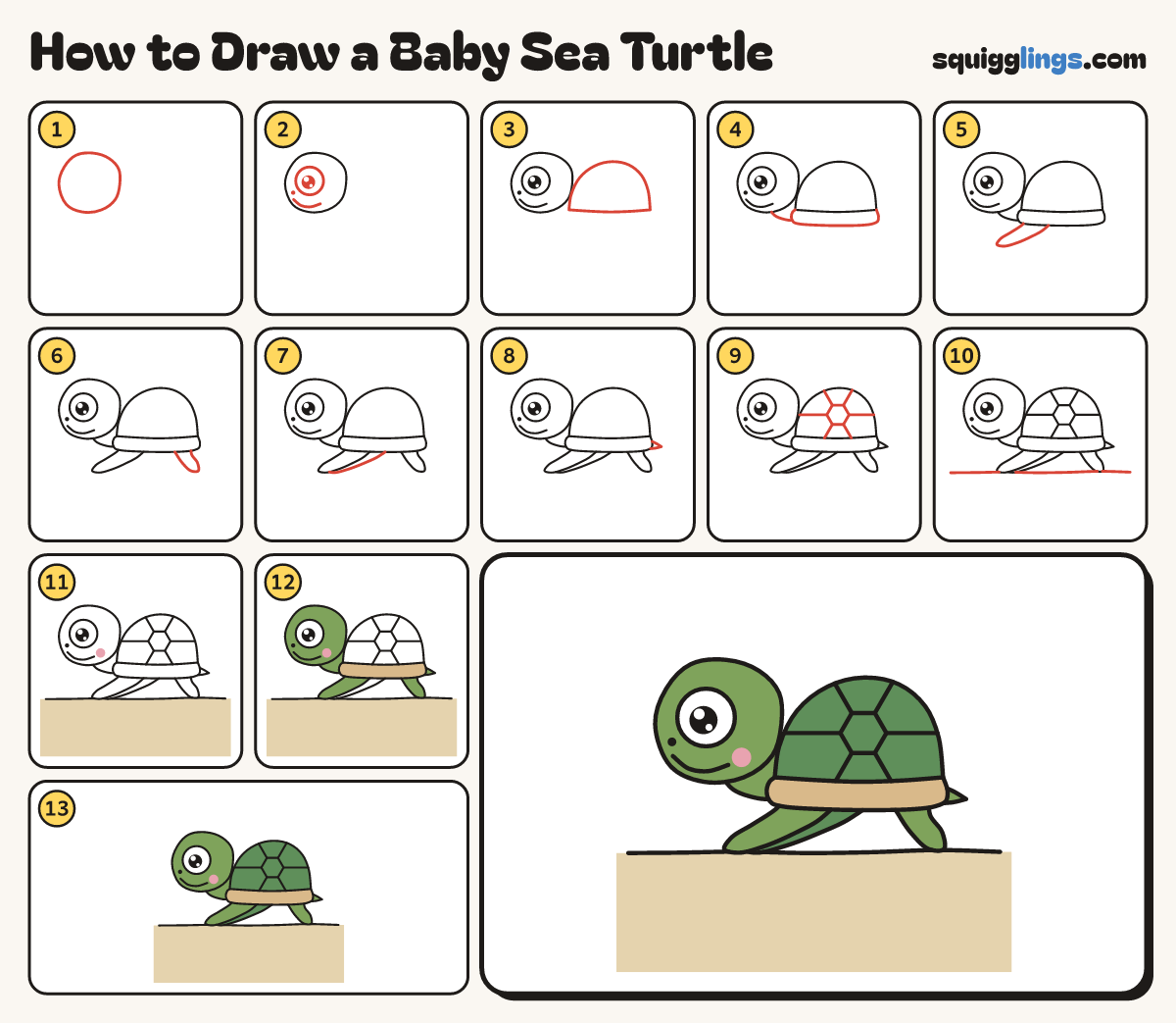 How to Draw a Baby Sea Turtle step by step: all 13 steps in one picture