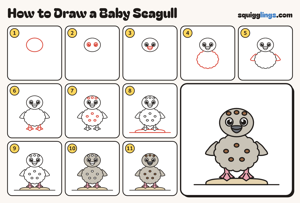How to Draw a Baby Seagull step by step: all 11 steps in one picture