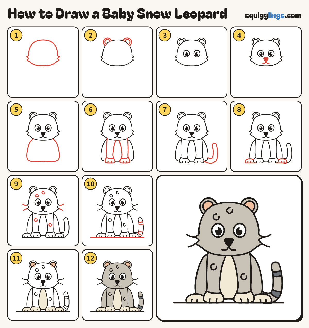 How to Draw a Baby Snow Leopard step by step: all 12 steps in one picture