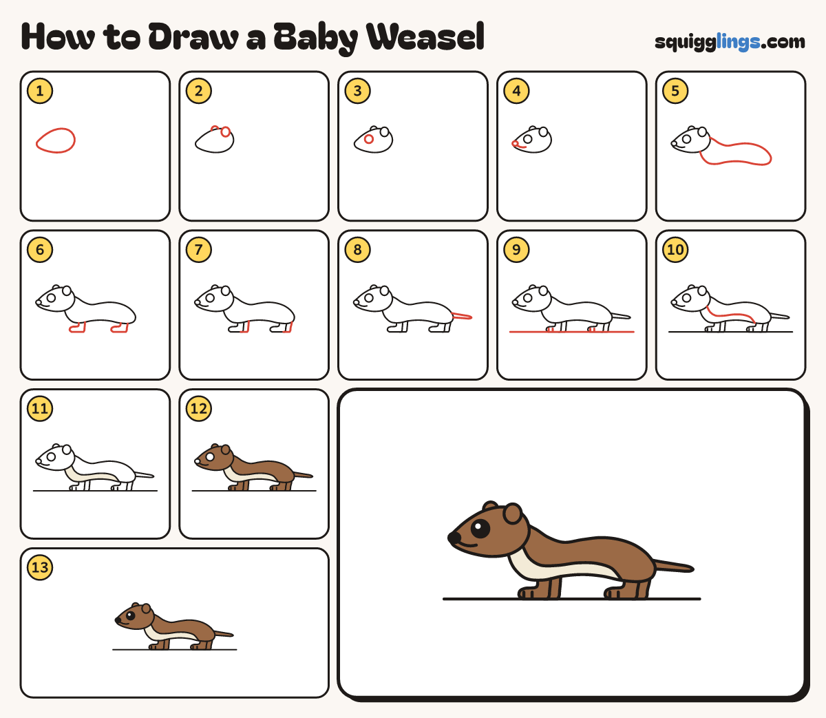 How to Draw a Baby Weasel step by step: all 13 steps in one picture