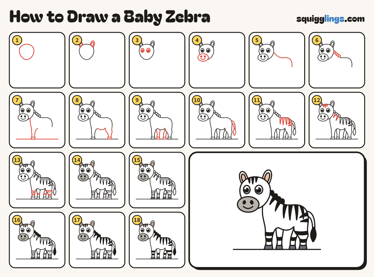 How to Draw a Baby Zebra step by step: all 18 steps in one picture