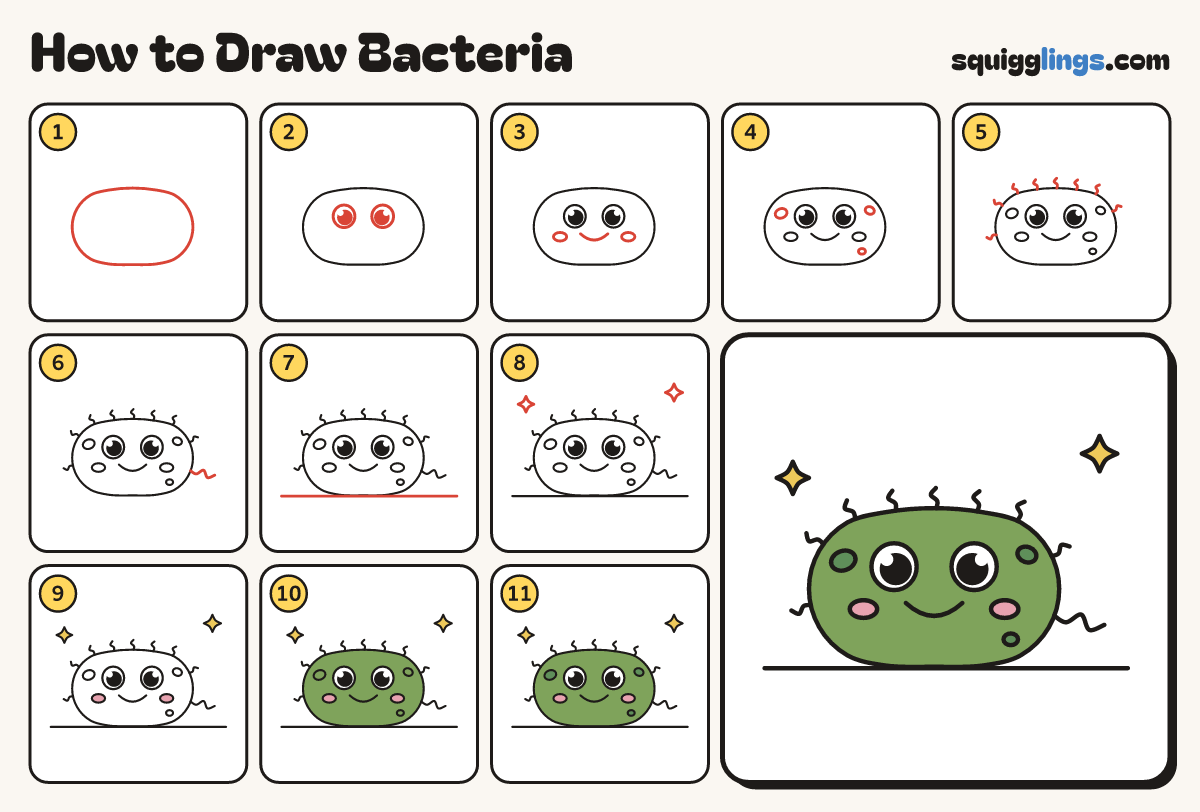 How to Draw Bacteria step by step: all 11 steps in one picture