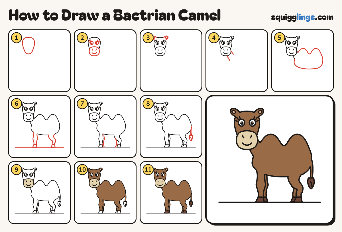 How to Draw a Bactrian Camel step by step: all 11 steps in one picture