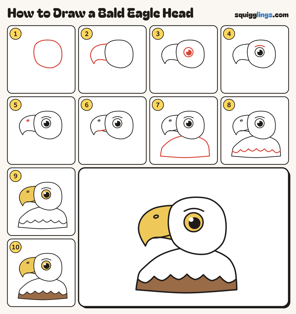 How to Draw a Bald Eagle Head step by step: all 10 steps in one picture