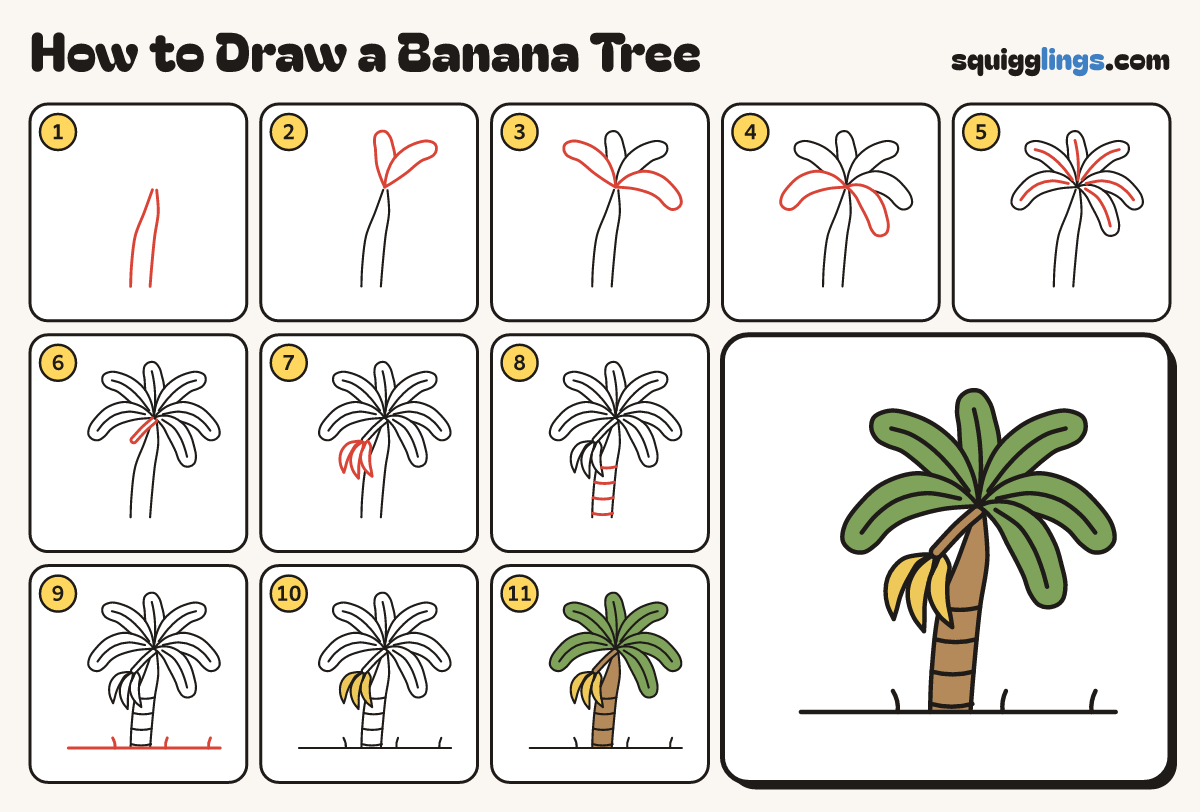 How to Draw a Banana Tree step by step: all 11 steps in one picture