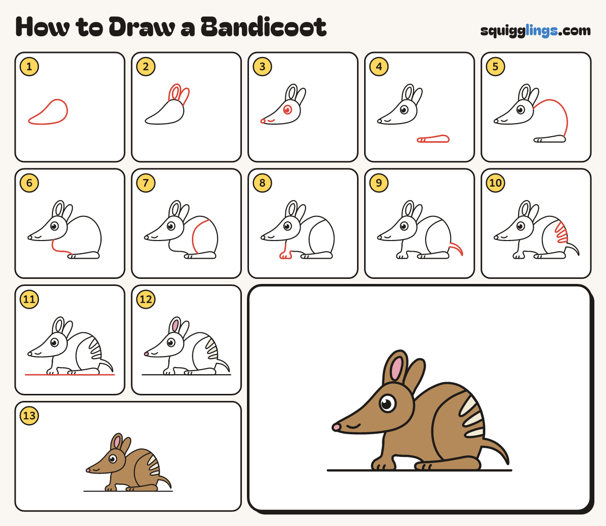 How to Draw a Bandicoot step by step: all 13 steps in one picture