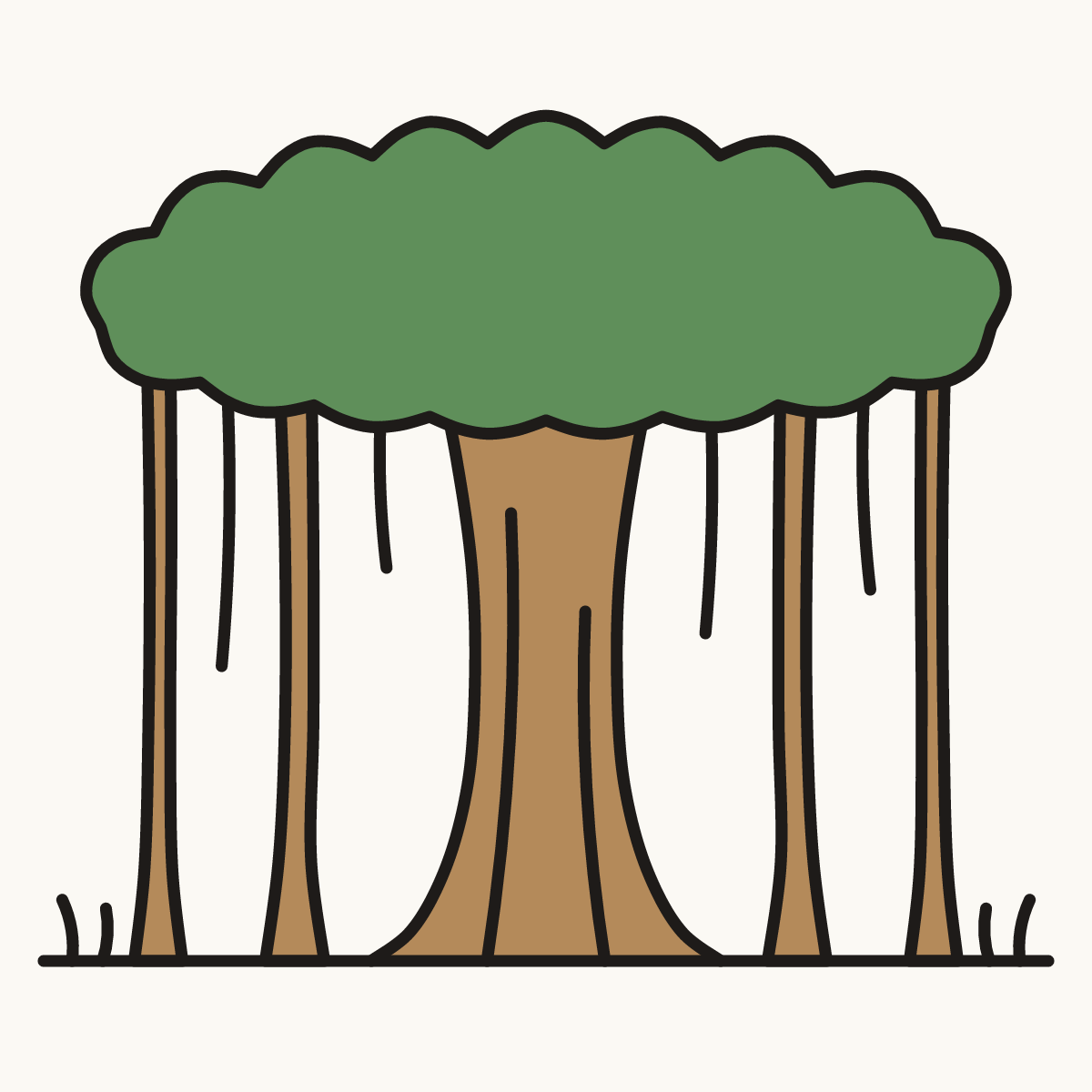 Finished drawing of a banyan tree