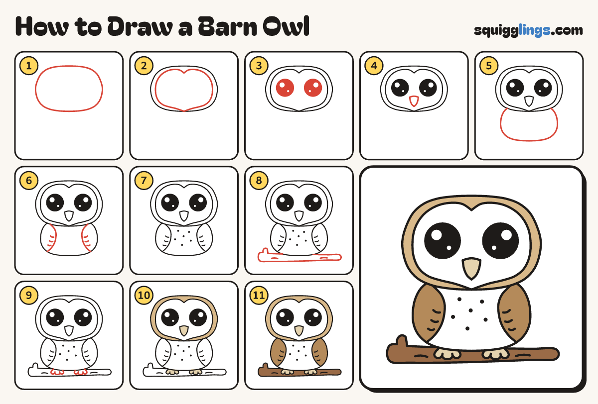 How to Draw a Barn Owl step by step: all 11 steps in one picture