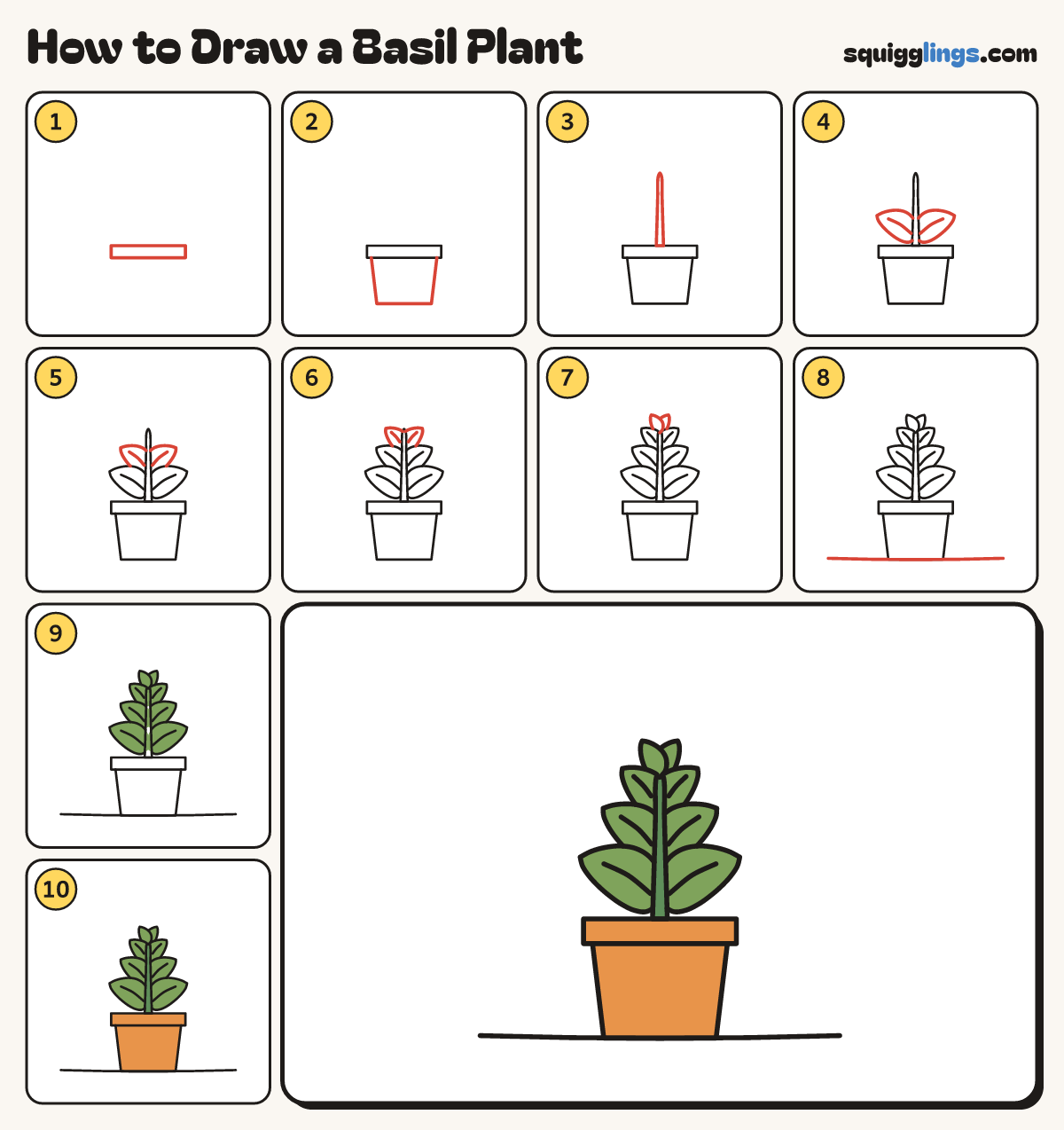 How to Draw a Basil Plant step by step: all 10 steps in one picture