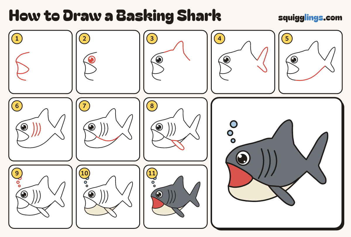 How to Draw a Basking Shark step by step: all 11 steps in one picture
