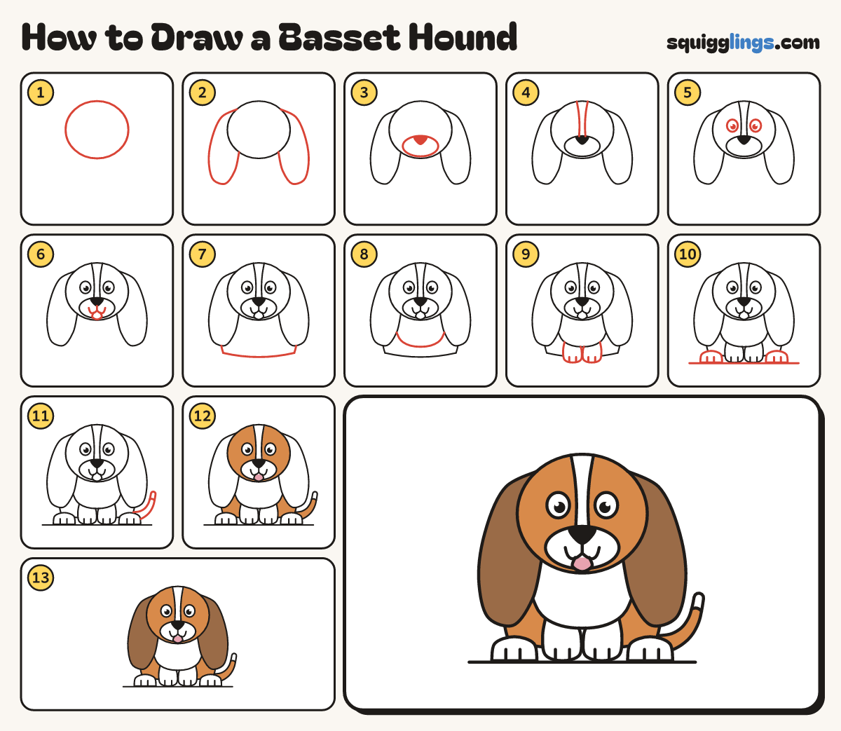 How to Draw a Basset Hound step by step: all 13 steps in one picture