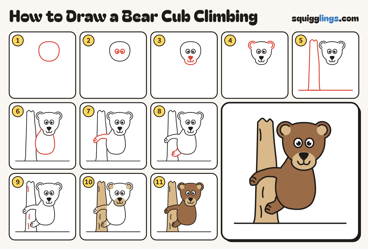 How to Draw a Bear Cub Climbing step by step: all 11 steps in one picture