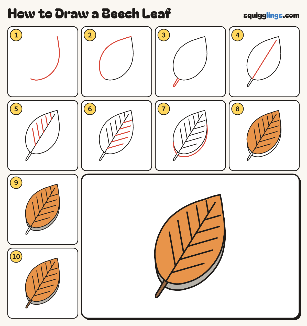 How to Draw a Beech Leaf step by step: all 10 steps in one picture