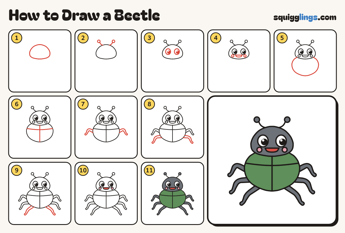 How to Draw a Beetle step by step: all 11 steps in one picture
