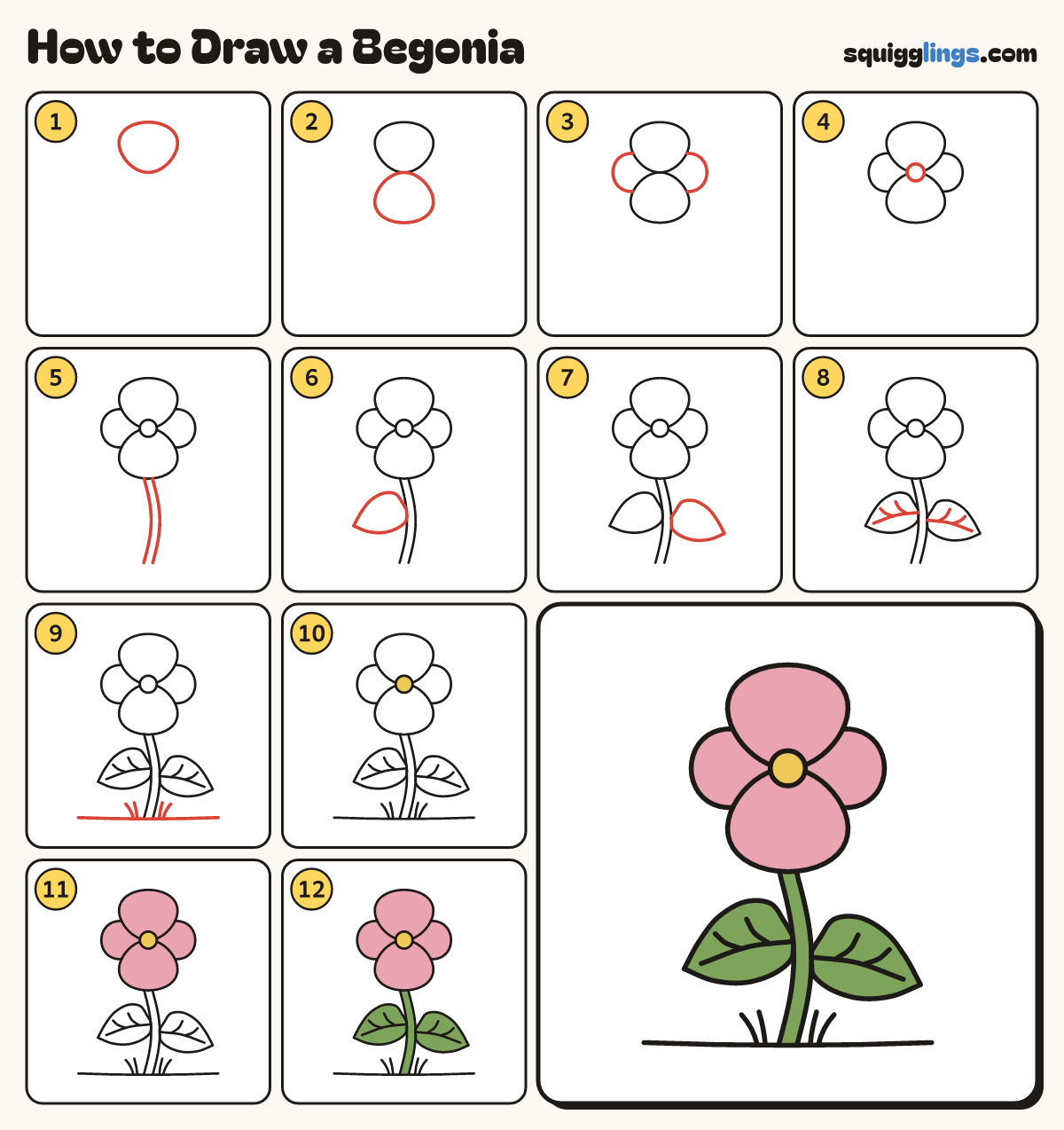 How to Draw a Begonia step by step: all 12 steps in one picture