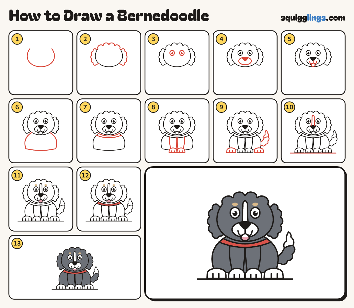 How to Draw a Bernedoodle step by step: all 13 steps in one picture