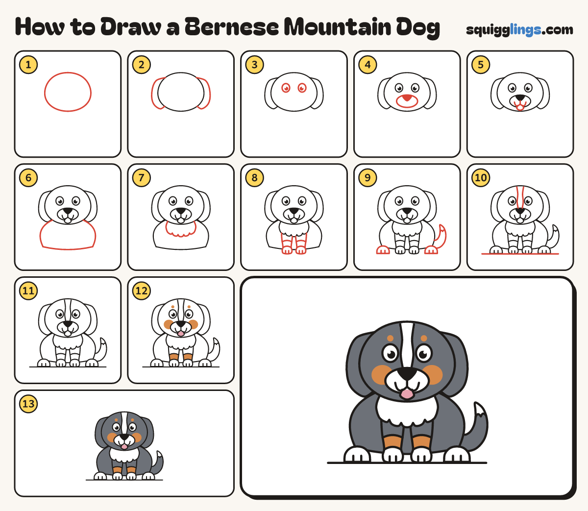 How to Draw a Bernese Mountain Dog step by step: all 13 steps in one picture