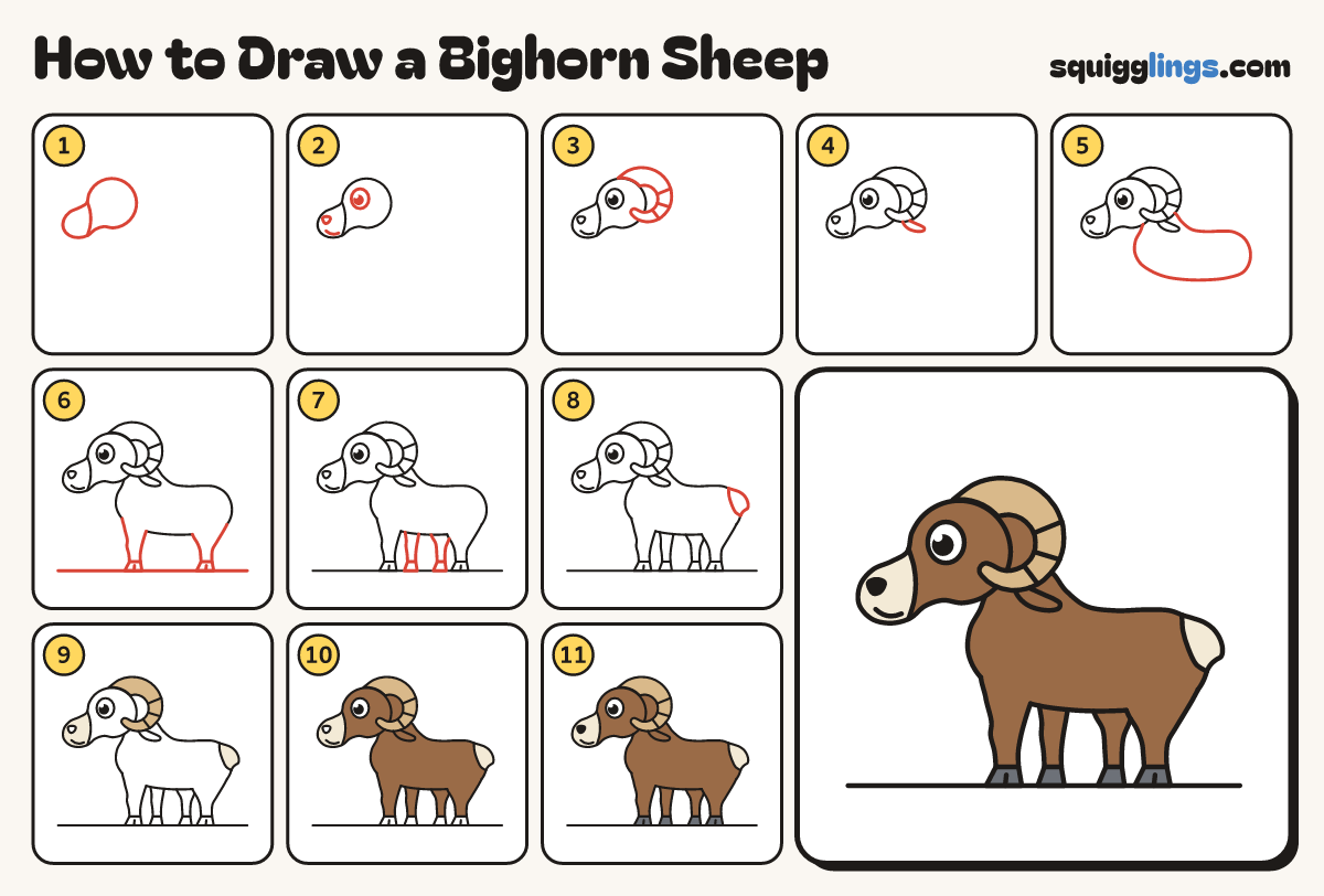 How to Draw a Bighorn Sheep step by step: all 11 steps in one picture