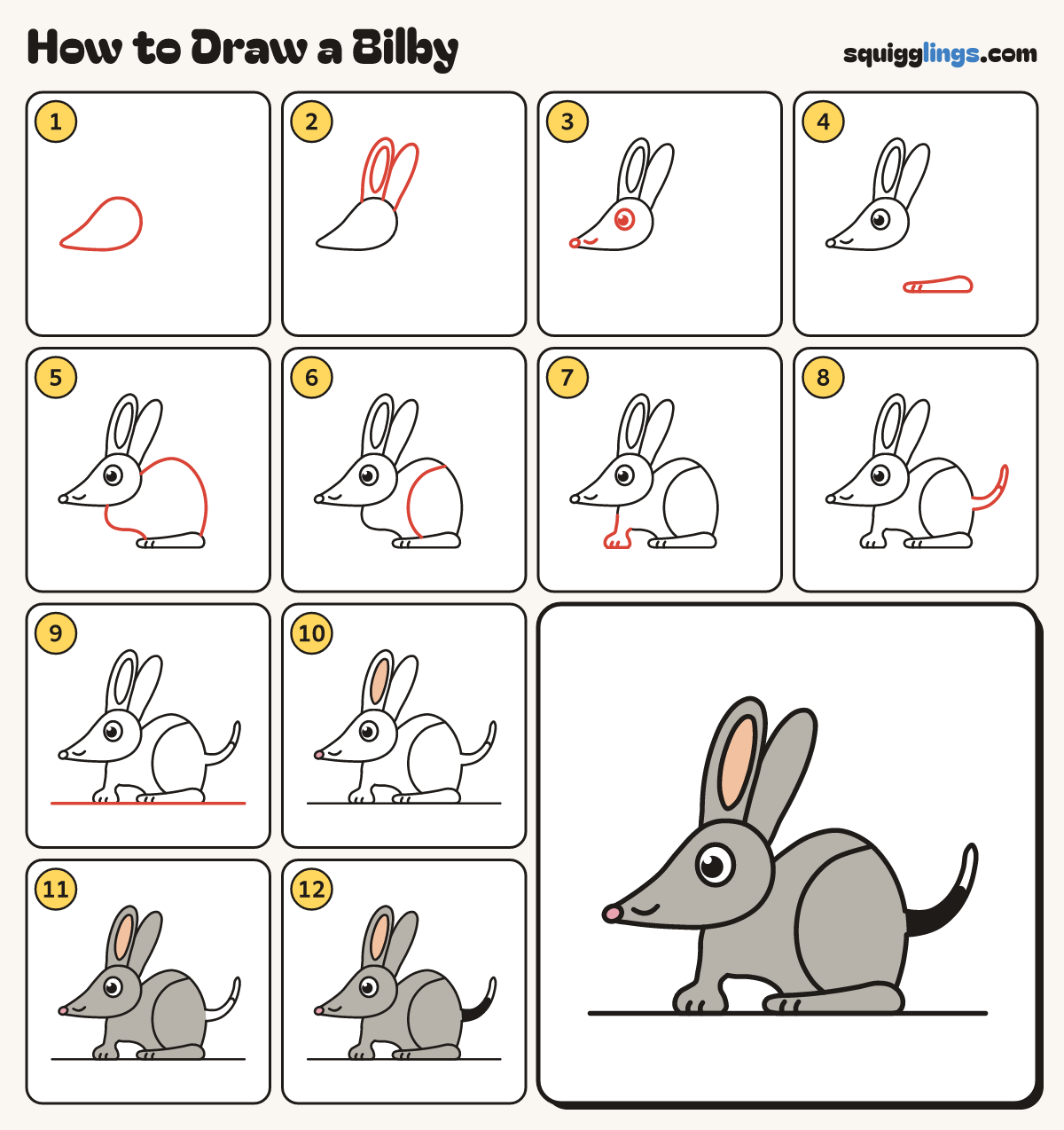 How to Draw a Bilby step by step: all 12 steps in one picture