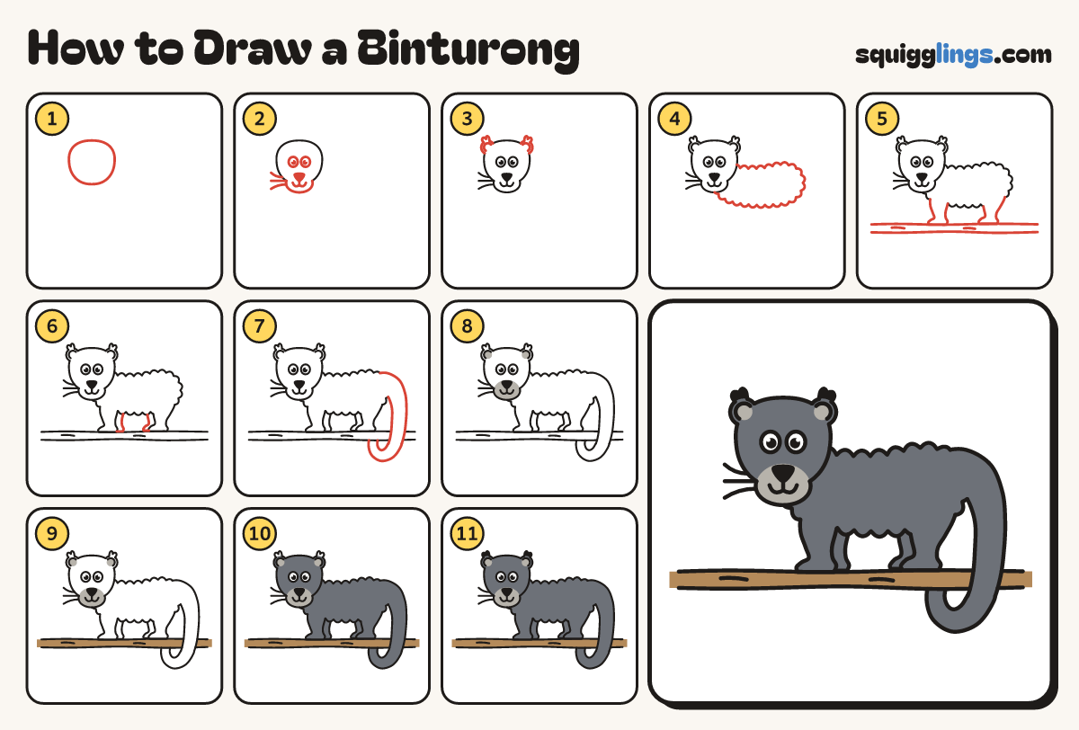 How to Draw a Binturong step by step: all 11 steps in one picture
