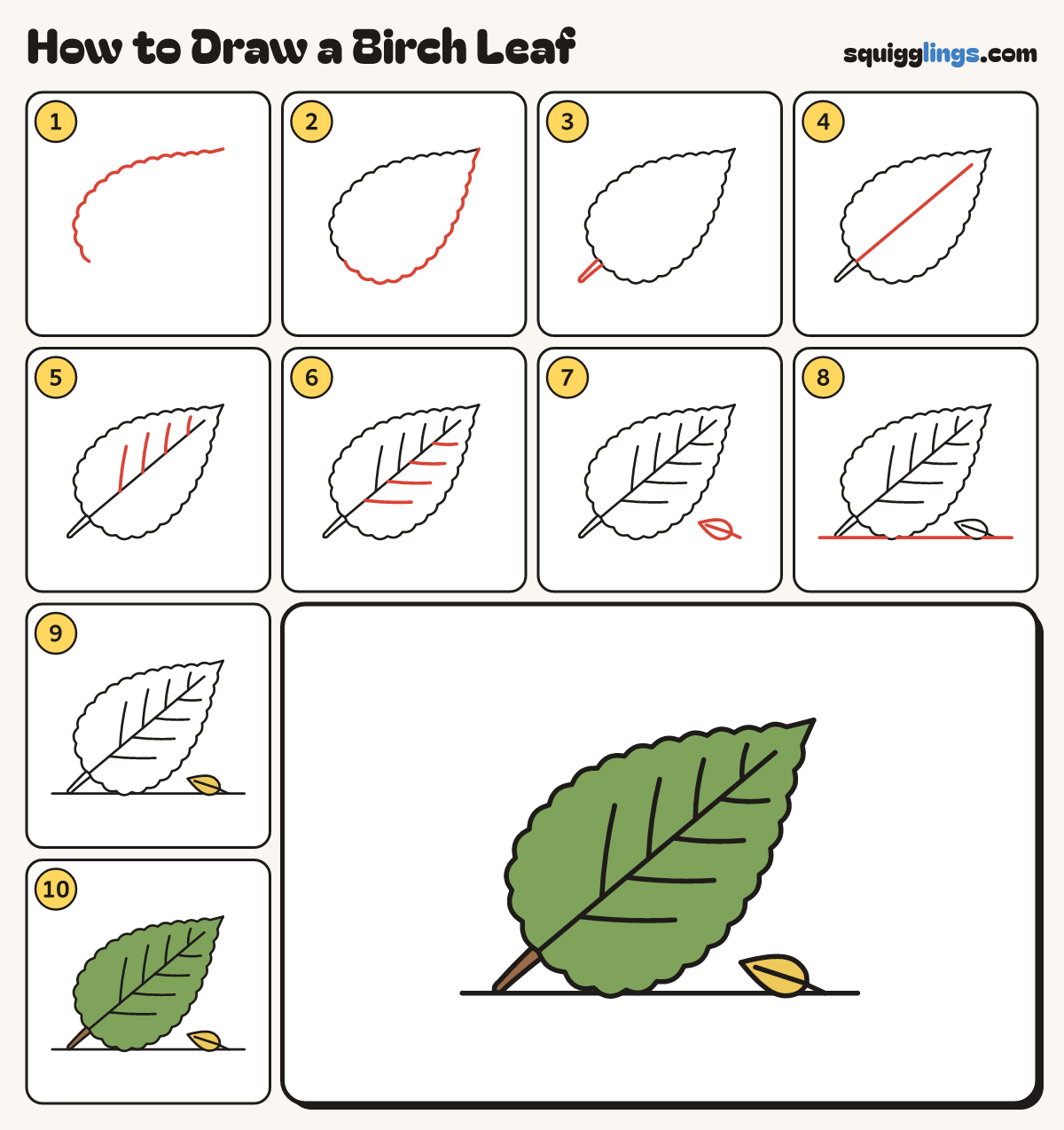 How to Draw a Birch Leaf step by step: all 10 steps in one picture