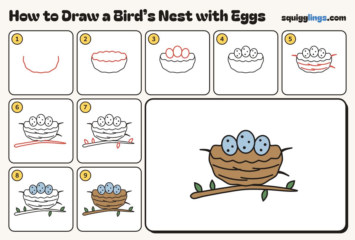 How to Draw a Bird’s Nest with Eggs step by step: all 9 steps in one picture